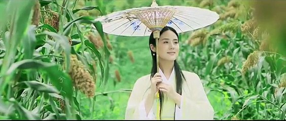 Beautiful Chinese Music【45】Traditional【Drink With You】