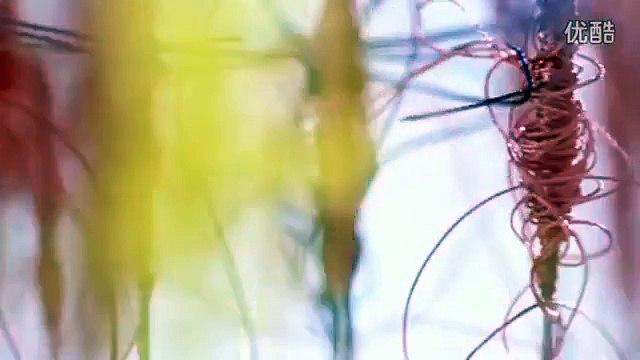 Beautiful Chinese Music【57】Traditional【Liu Yang River】