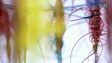 Beautiful Chinese Music【57】Traditional【Liu Yang River】