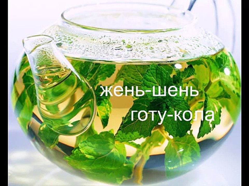 Фитоэкстрактор и напитки EliteCup для Офиса )