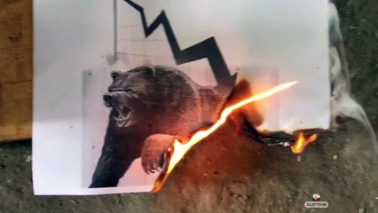 INDIA FANS AGAINST SENSEX BEAR  By Toba tv
