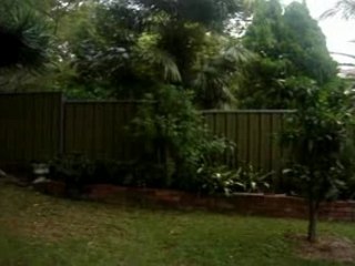 Sonic randomness season 2 Opening