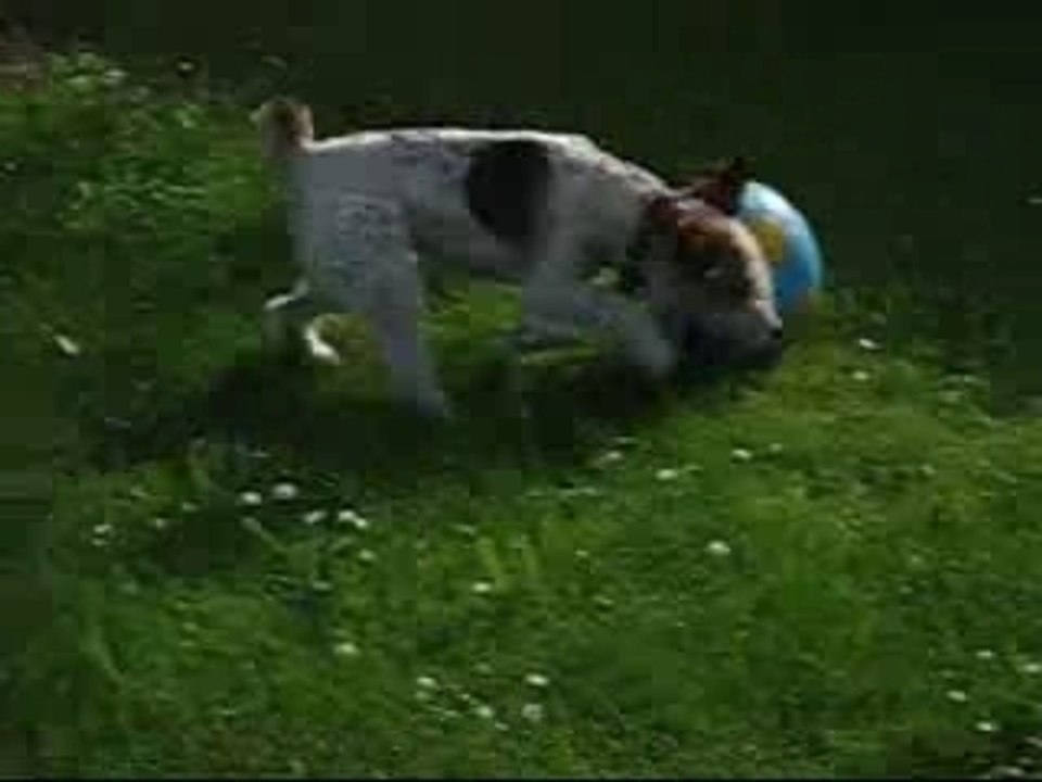 Letkiss fait du sport
