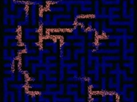 Exemples de programmes sur ordinateurs amorphes