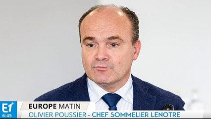 Directive européenne : "On n'est pas près de voir des vignes en Normandie ou en Picardie"