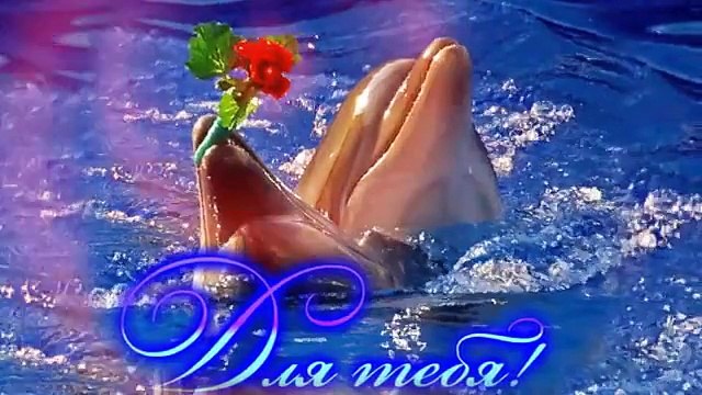 Привет! Музыкальная открытка- позитив