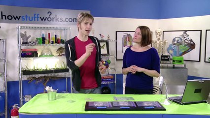 Did Alien Bacteria Seed Life on Earth? - Stuff to Blow Your Kids Mind #4