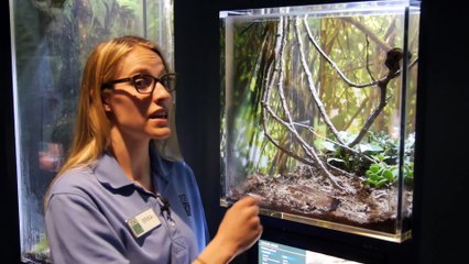 Take a Tour of Our New Bug House!