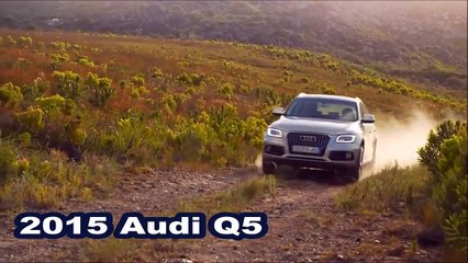 2015 Audi Q5 Vs 2015 Audi Q3 DESIGN!