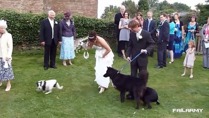 Wedding Fails Compilation 2012 || FailArmy