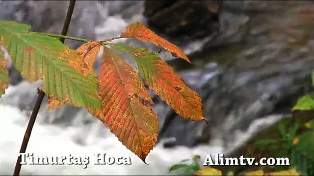 Hz. Ömer (r.a) Hayırda kimi geçemiyordu - Timurtaş Hoca
