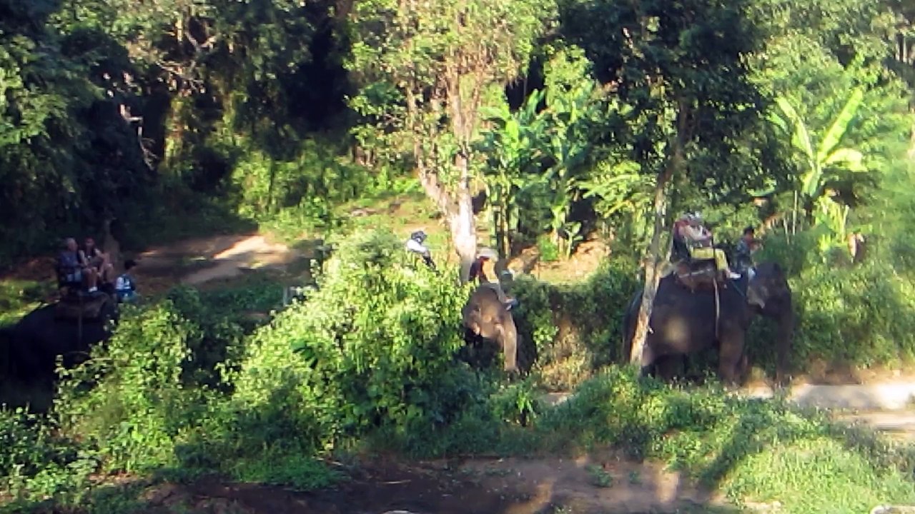 AU CAMP DES ÉLÉPHANTS DE CHIANG MAI (THAÏLANDE) LE 29 NOVEMBRE 2015