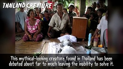 5 Biggest Unsolved Creature Mysteries