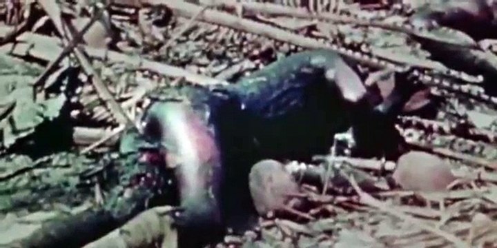The World At War 1973(World War II Documentary) 23 Pacific (February 1942 – July 19