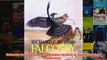 Falconry in the Valley of the Indus Oxford in Asia Historical Reprints
