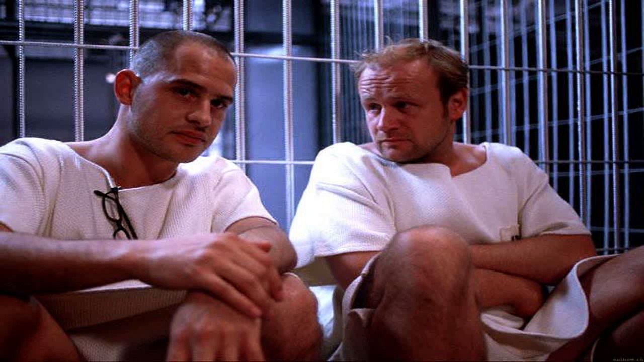 Das Experiment 2001