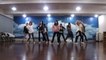 SNSD/Girls Generation - The Boys mirrored Dance Practice
