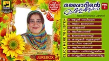 Malayalam Mappila Songs | Old Mappila Songs| Malabarinte Mappila Seelukal, Seenath |  Audio Jukebox