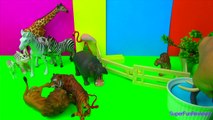 Happy Cute Zoo Animals LION and TIGER Tug of War FIGHT FUN ending