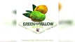 Selekta Faya Gong - Green & Yellow Riddim Megamix
