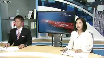 Un calmar géant fait son apparition dans un port au Japon