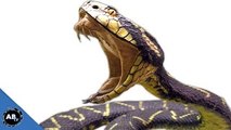 Deadliest Snakes In The World! SnakeBytesTV - Ep. 395 : AnimalBytesTV