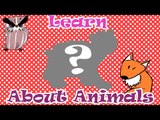 Compilation of Developing Cartoons - Funny Animals ALL EPISODES - Smarty Pants