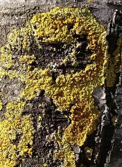 해외소스ろ Supercar123.Com 가입코드7171