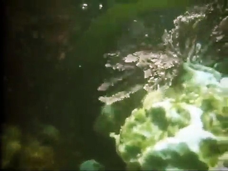 Les îles les côtes Film documentaire