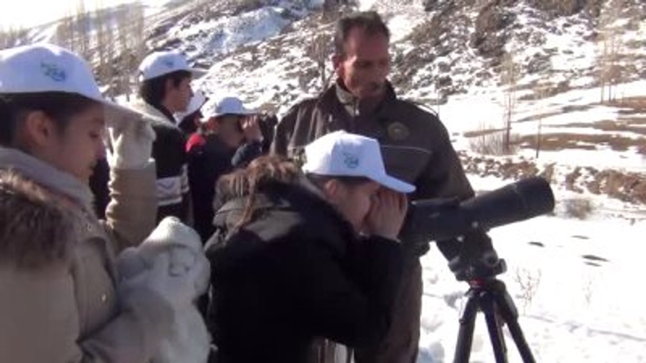 Dondurucu Soğukta Yaban Hayvanları Unutulmadı