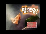 감동게임 유기견시점으로 보는 게임 멍멍멍! - 쯔꾸르게임 [양띵TV삼식]