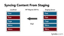 020 Syncing content between local and staging servers - WordPress Workflows