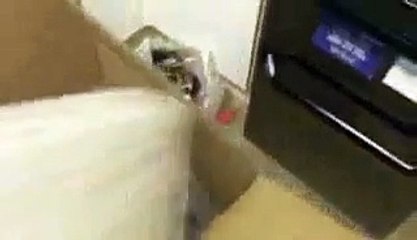 My parcel came Get in there my lad-Z7iTXuwuHAU