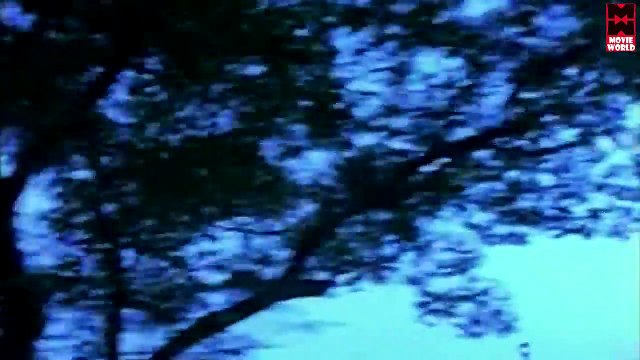 Prakaasha Varshangalkkakale... KJ Yesudas Hits | Malayalam Movie Songs | Ayanam [HD]