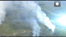 Koala rescued from Australian bushfire