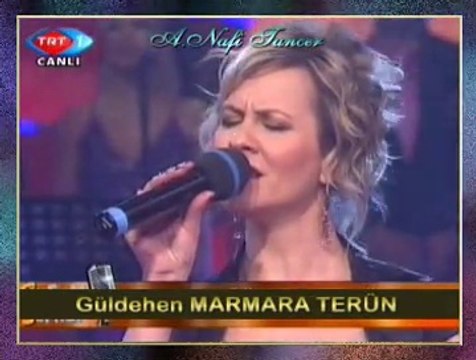 Güldehen MARMARA TERÜN-Sarmaşık Gülleri