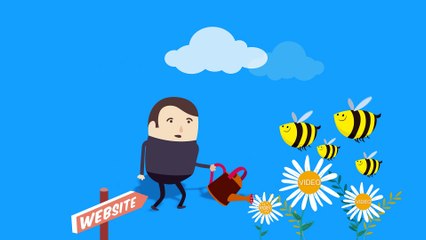 Online Video Marketing- How it can Affect your Future Business