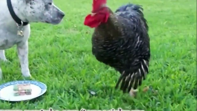 Такие милые) ))