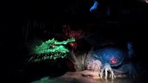 Disneyland Paris Disneyland Paris Castle - La Tanière du Dragon Audio-Animatronic Dragon