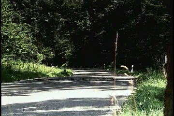 5 Speed Auto - 2011 Audi A8L