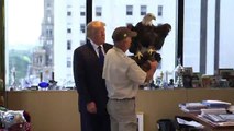 Donald trump attacked by a bald eagle