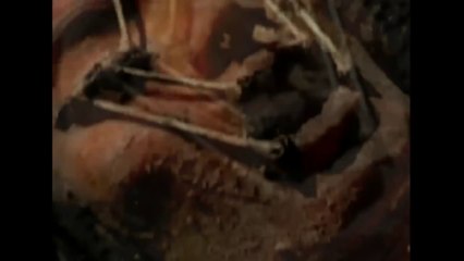 Forensic Analysis, of the (Apollo 20) Alien on Moon Videos.