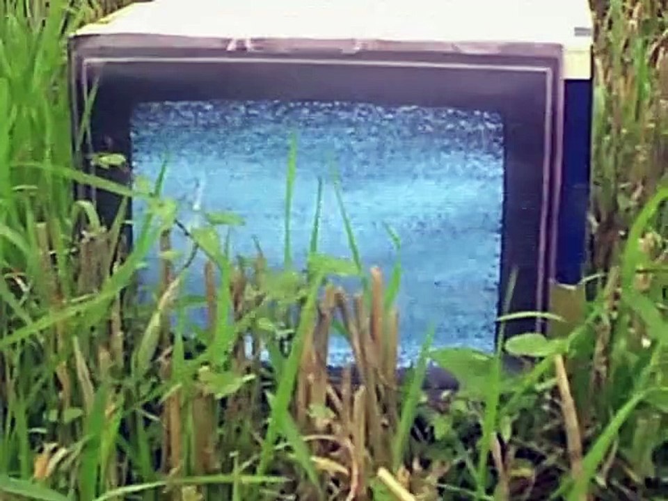 Le long long metrage de la Rtbeef