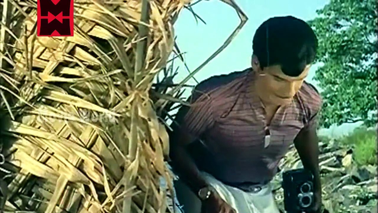 Nadhi | Malayalam Classic Movie 1969 | Prem Nazir With Sharada [HD]