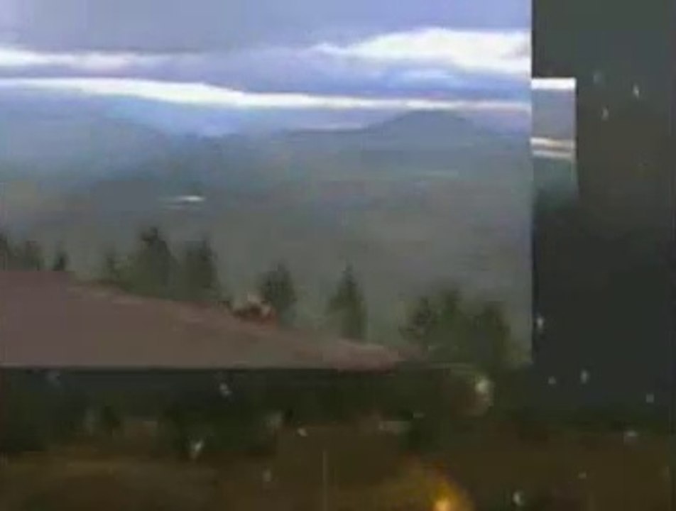 srecna nova godina, svim KUPRESACIMA. zeli ' SPULE'