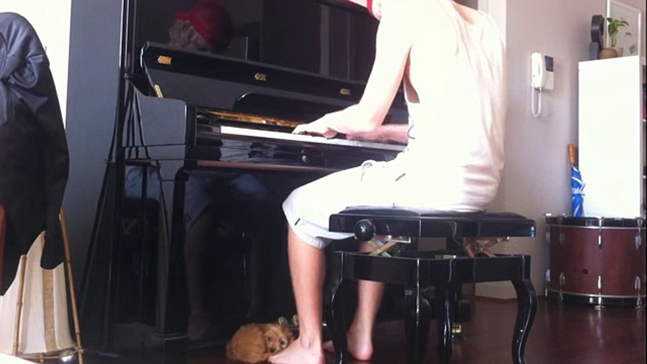 This Puppy Loves To Listen To Music, But When It Stops, His Reaction Is Hilarious