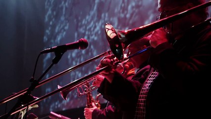 Sasha's Bloc - Summertime