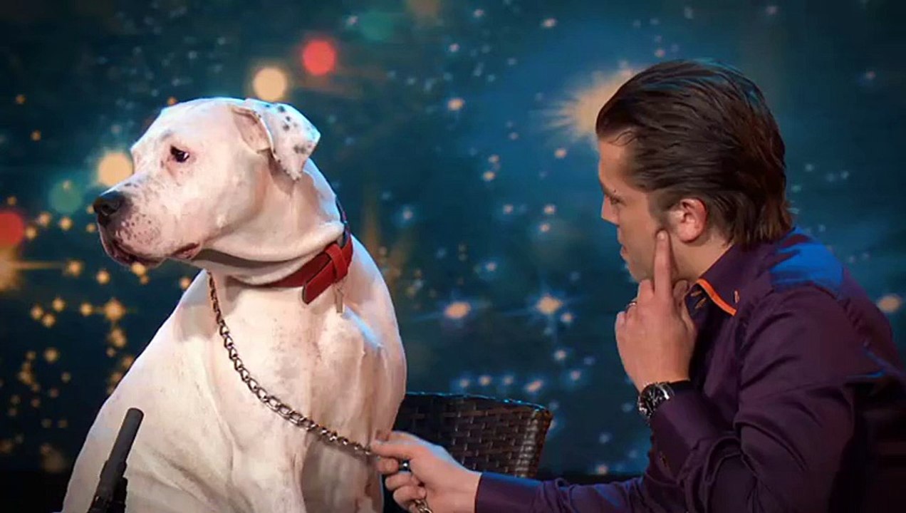 Dog Sings A Whitney Houston Song