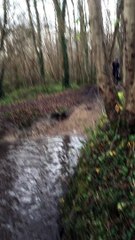 CAFE PUR RACE ESPAGNOL PASSAGE DANS L'EAU