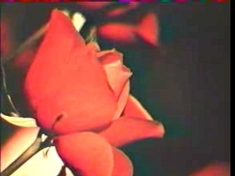 Brigitte Bardot & Sacha Distel - La Bises Aux Hippies